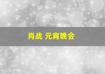 肖战 元宵晚会